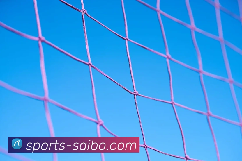 体育下注品牌故事