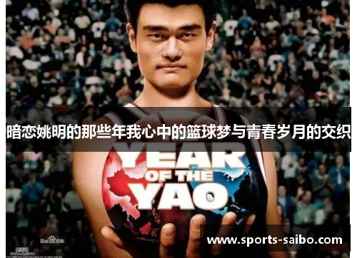 暗恋姚明的那些年我心中的篮球梦与青春岁月的交织